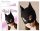 Cat Mask - Maszk